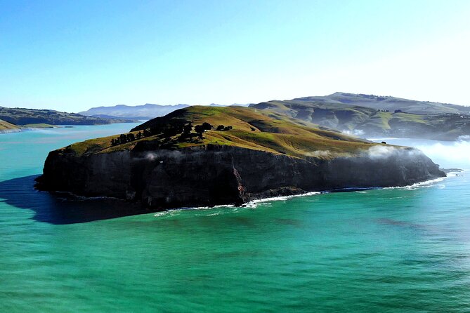 Lyttelton Shore Excursion - Guided Walking Tour and Picnic - Cancellation Policy