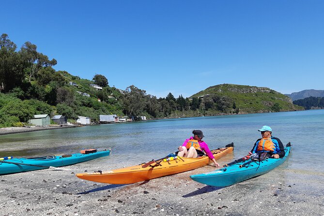 Lyttelton Shore Excursion - Sea Kayaking, Quail Island & Harbour - Contact and Booking Details