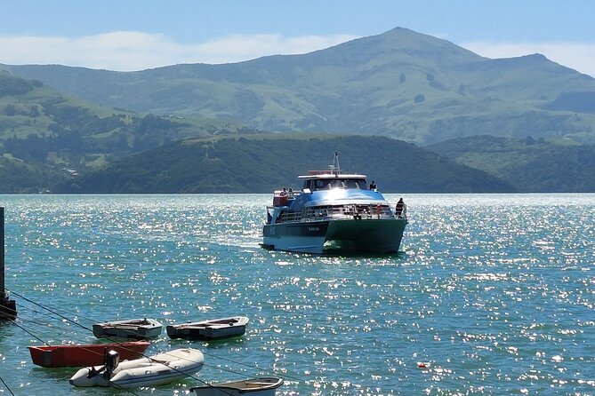 Lyttelton Shore Excursion: Twin Harbour Tour (Lyttelton & Akaroa) - Tour Highlights