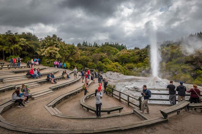 Magical Wanderer Experience Private Tour to Te Puia & Wai-O-Tapu - Meeting Point Details