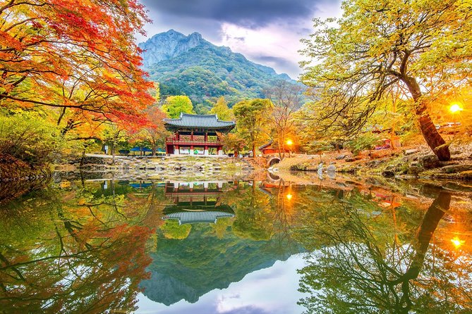 Magnificent Naejangsan National Park Autumn Foliage Tour From Seoul - Itinerary