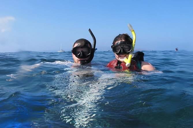 Makena-Wailea Explorer Trip in Maui - Marine Life Encounters