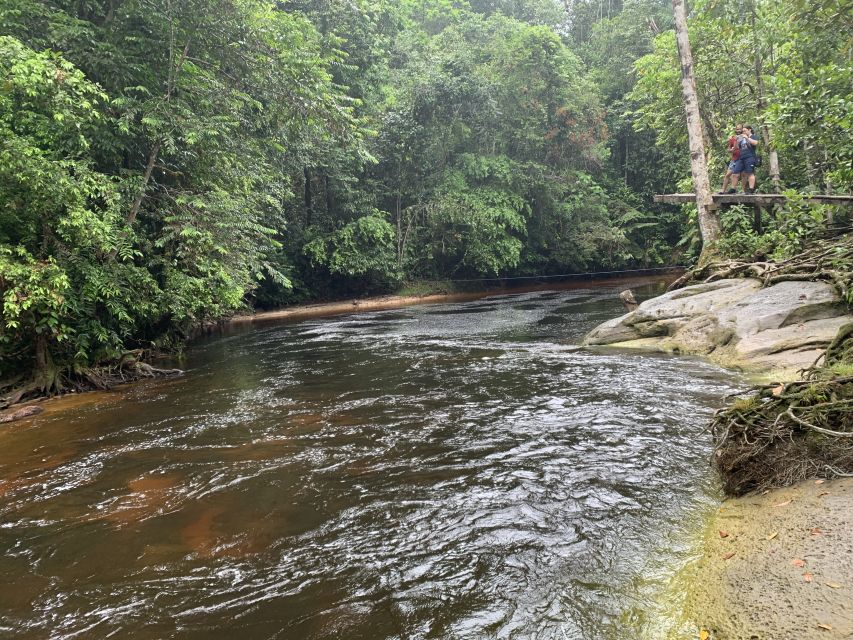 Manaus: Presidente Figueiredo Caves and Waterfalls Tour - Tour Highlights