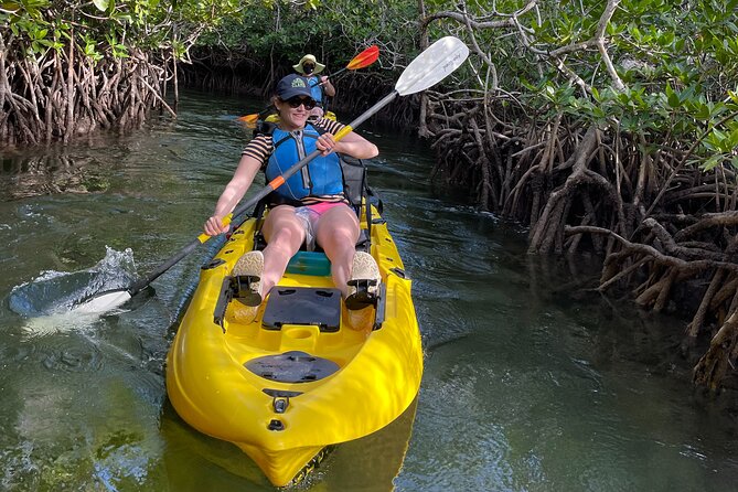 Mangrove Tunnel Kayak Adventure in Key Largo - Booking Information