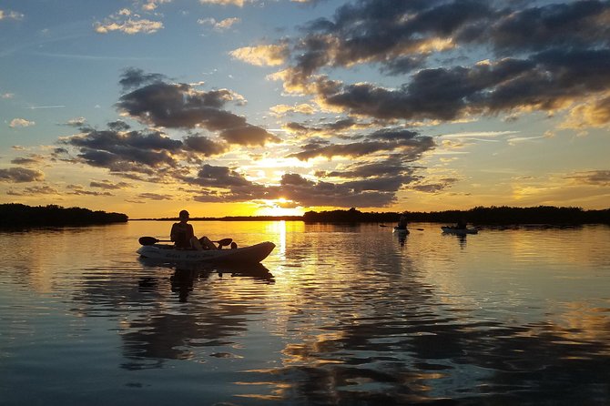 Mangrove Tunnels, Manatee, and Dolphin Sunset Kayak Tour With Fin Expeditions - Customer Reviews and Feedback