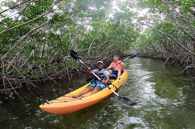 Mangroves and Manatees - Guided Kayak Eco Tour - Reviews and Guide Appreciation