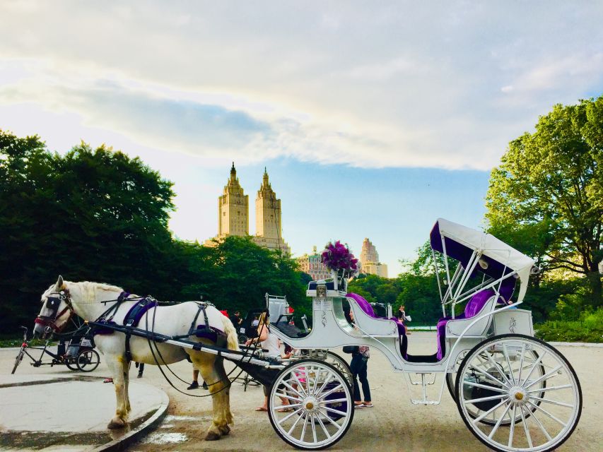 Manhattan: VIP Private Horse Carriage Ride in Central Park - Full Description