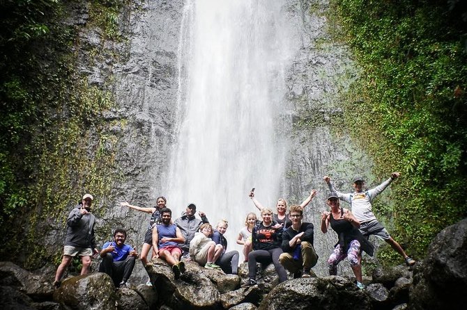 Manoa Waterfalls Hike With Local Guide - Positive Reviews