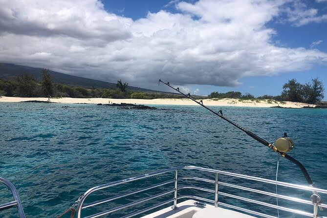 Manta Ray Night Snorkel in Kona - Host Responses