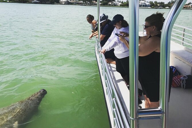 Marco Island Dolphin Sightseeing Tour - Wildlife Encounters and Discoveries
