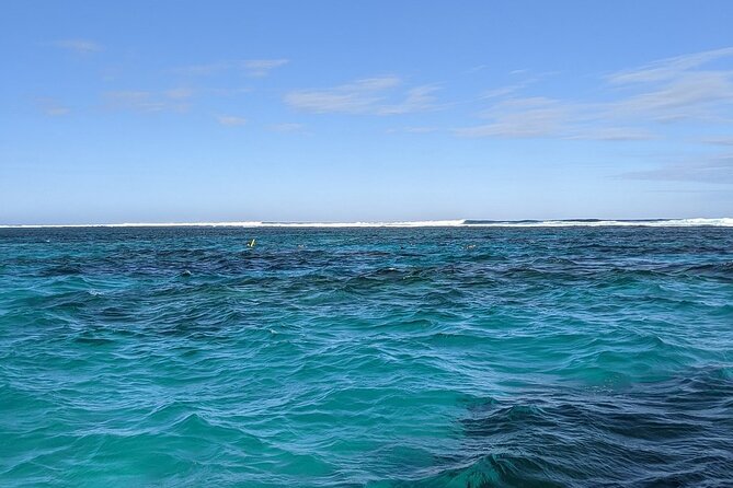 Marine Eco Safari - Swim With Manta Rays - Cancellation Policy
