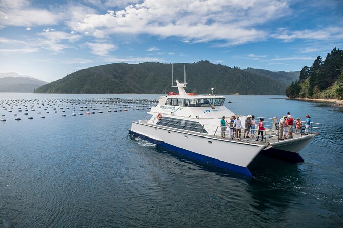 Marlborough Icons Tour - Wine Tasting Cruise - Kiwi Style BBQ