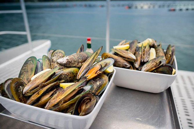 Marlborough Sounds Greenshell Mussel Tasting Cruise - Experience Highlights on the Cruise