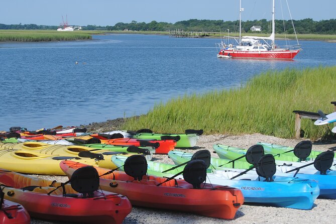 Marsh Kayaking Eco-Tour in Charleston via Small Group - Additional Information