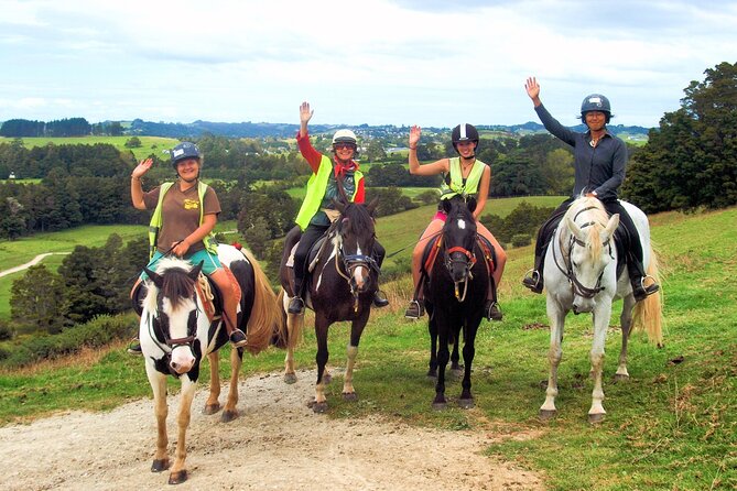 Matakana Art & Horse Riding Experience Private Tour From Auckland - Tour Itinerary