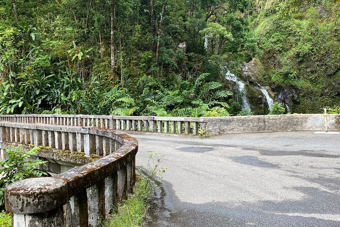 Maui by Storm: Epic Private Luxury Road to Hana Adventure Tour - Tour Guide Highlights