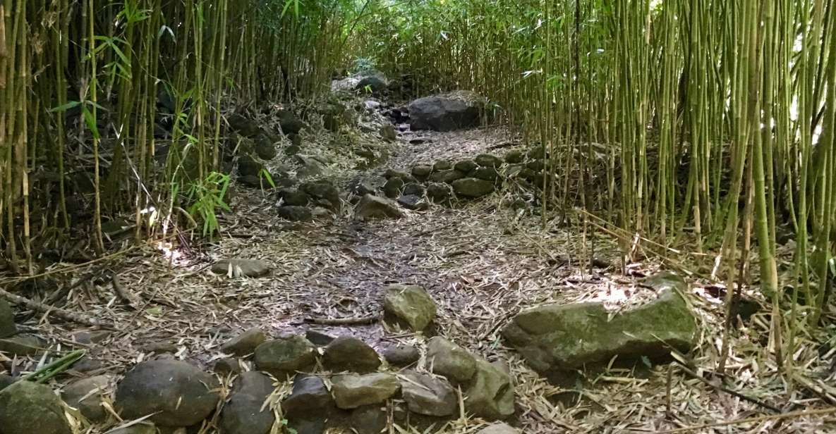 Maui: Private Jungle and Waterfalls Hiking Adventure - Important Reminders