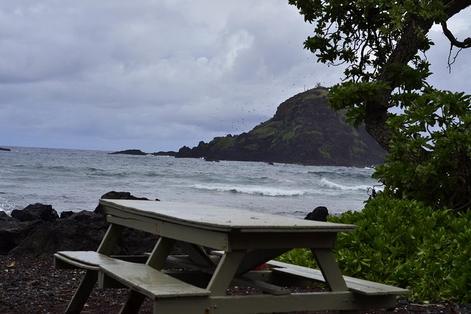 Maui Shore Excursion : Road to Hana Tour From Kaanapali - Additional Tips and Details