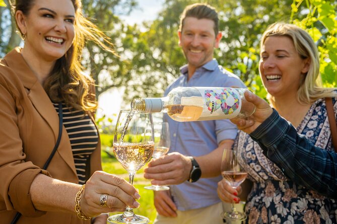 McLaren Vale Wine-Lover - Luxury Full Day Private Tour - Wine Tasting Experiences