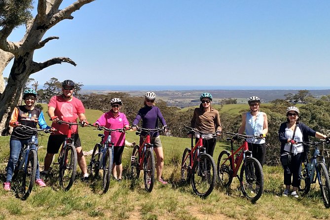 McLaren Vale Wine Tour by Bike - Tour Guides and Reviews