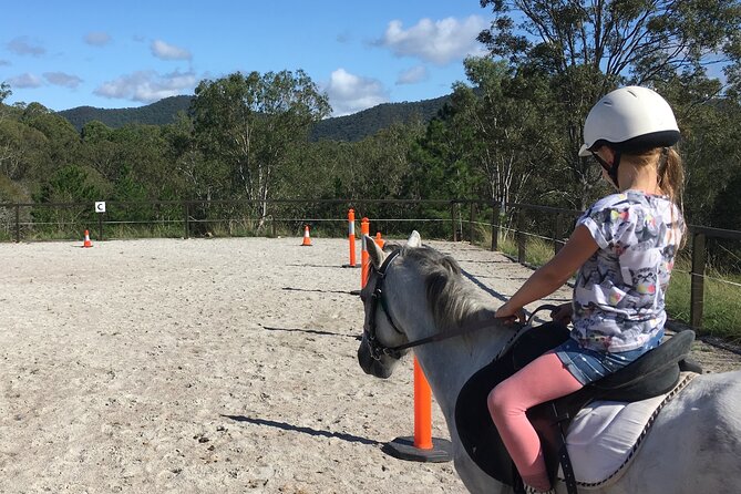 Meet the Animals: Small-Group Farm Tour, Brisbane - Inclusions and Logistics