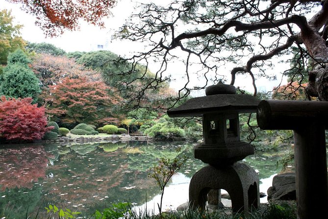 Meiji Jingu Shrine Half-Day Tour by Public Transportation - Booking Information