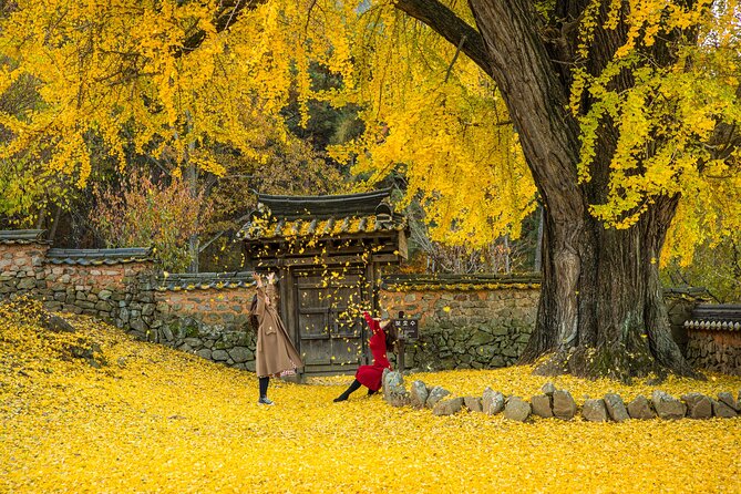 Memorable Autumn Foliage Random Tour (From Busan) - Important Reminders