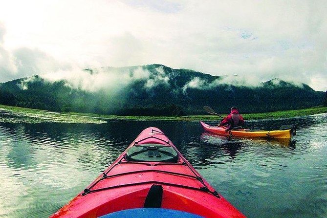 Mendenhall Glacier View Sea Kayaking - Booking Information