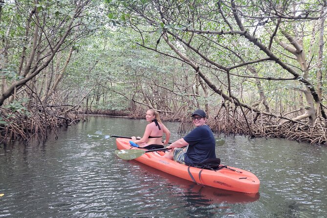 Miami: Kayak or SUP Island and Wildlife Tour - Paddling Skills Demo