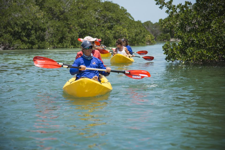 Miami: Key West Tour With Snorkeling & Kayaking - Experience Description