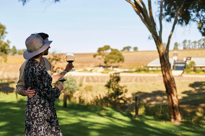 Micro-Group Mclaren Vale Wine Tour From Adelaide - Tasting Menu Lunch Experience