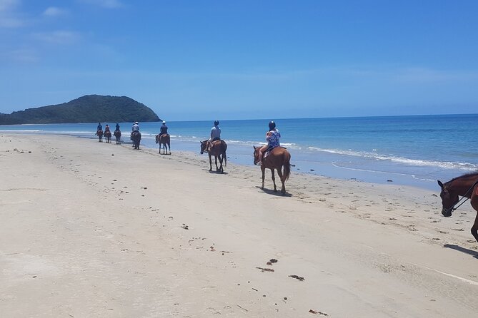 Mid-Morning Beach Horse Ride in Cape Tribulation - Participant Requirements