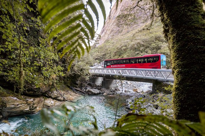 Milford Sound Coach and Cruise From Te Anau With Buffet Lunch - Customer Reviews and Experiences