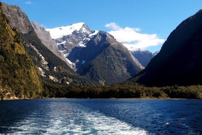Milford Sound Day Tour With Lunch From Queenstown - Customer Feedback and Reviews