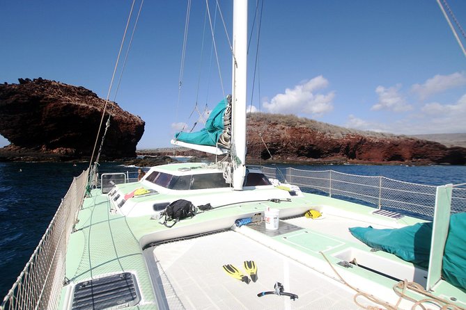 Molokini Snorkel and Performance Sail From Maalaea Harbor - Traveler Information