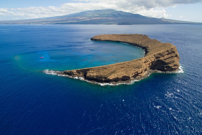Molokini Snorkel, Green Sea Turtle Small-Group Tour From Maui - Expectations and Additional Info