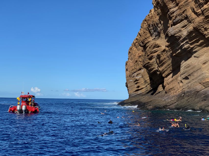 Molokini Snorkel & South Maui Coast Tour - Experience Highlights