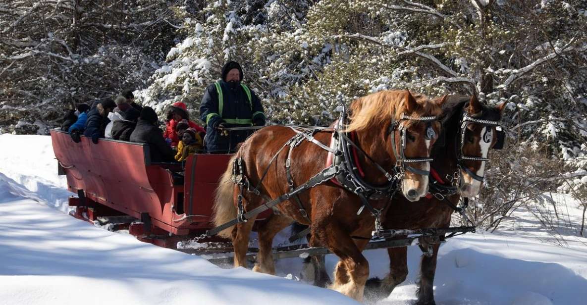 Mont-Tremblant: Sleigh Ride W/ Storytelling & Hot Chocolate - Inclusions