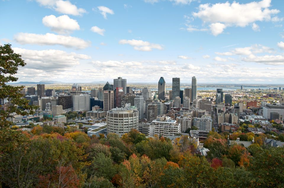 Montreal: Half-Day City Tour - Customer Reviews