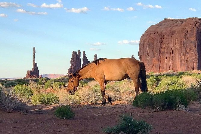 Monument Valley Daytime Tour - 3 Hours - Navajo Spirit Tours - Sum Up