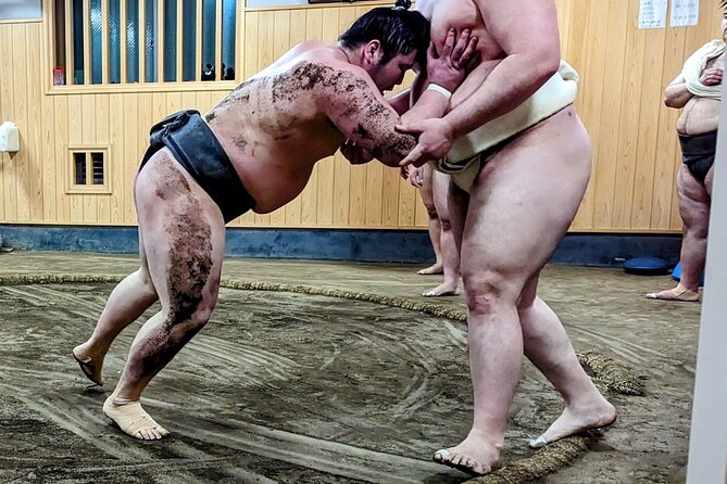 Morning Sumo Practice Viewing in Tokyo - Meeting and Pickup Details