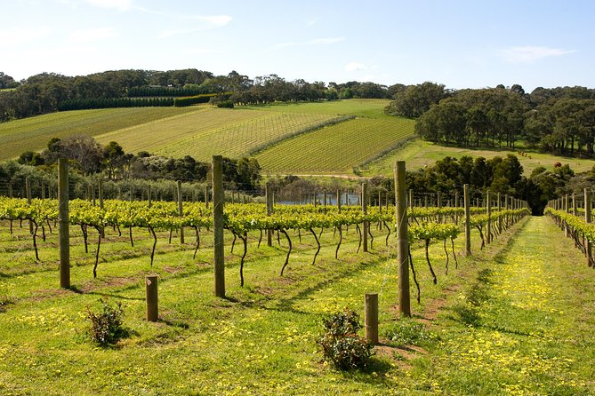 Mornington Peninsula Small-Group Wine Tour With Lunch - Cancellation Policy