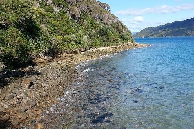 Motuara Island Bird Sanctuary and Ship Cove Cruise From Picton - Customer Reviews and Ratings