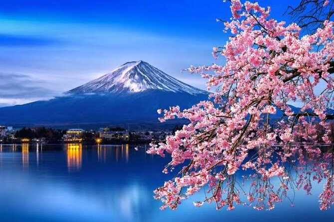 Mount Fuji and Hakone Private Tour With English Speaking Driver - Booking Information