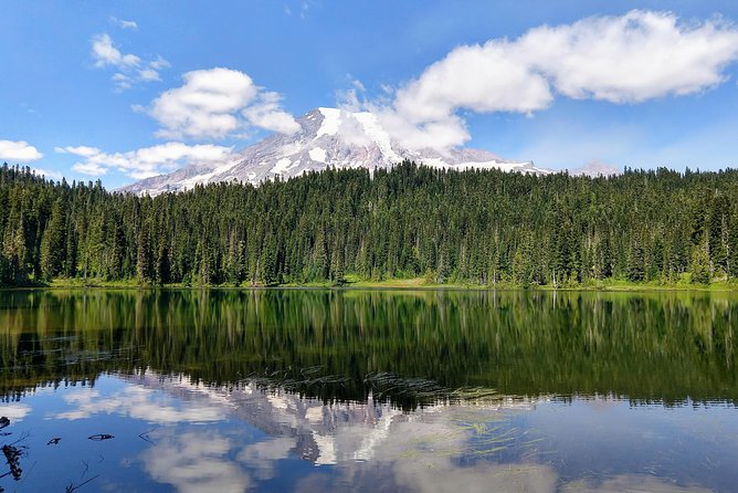 Mount Rainier National Park Luxury Small-Group Day Tour With Lunch - Cancellation Policy Information