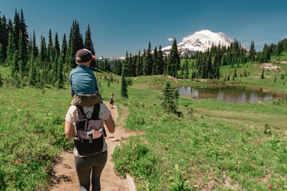 Mount Rainier National Park:Nature, Waterfalls,and Wildlife - Longmire Museum Visit