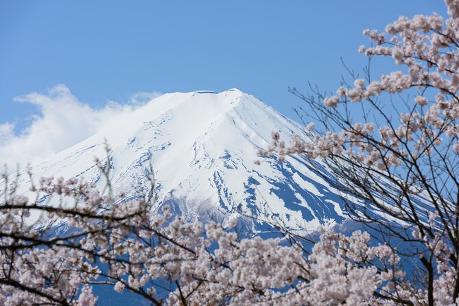 Mt. Fuji Cherry Blossom One Day Tour From Tokyo - Transportation Details