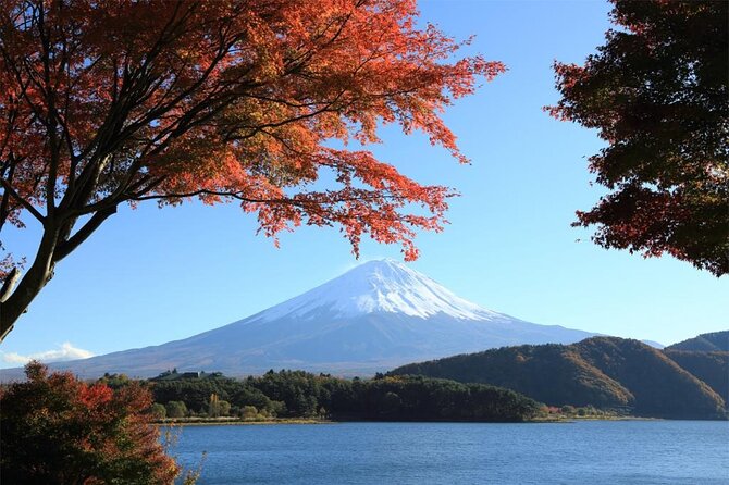 Mt. Fuji & Hakone Bullet Train 1 Day Tour From Tokyo Station Area - Meal Requests