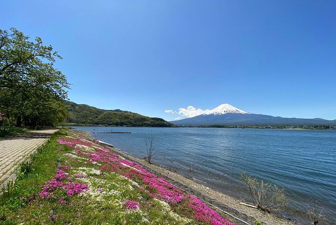 Mt Fuji Half-Day Tour By Car - Reviews