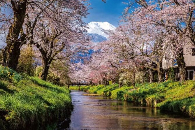 Mt. Fuji Majestic Tours : Shinjuku to Arakurayama and Beyond - Booking and Pricing Information